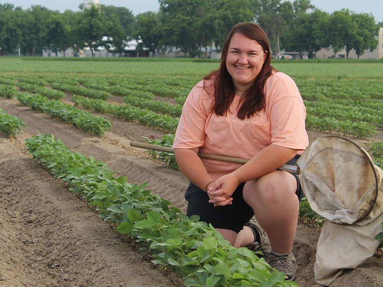 Keeping Soybean Loopers in check - Summer 2018