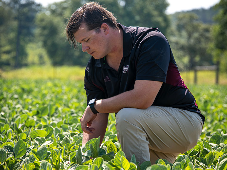 An Integrated Crop Livestock System - Summer 2023