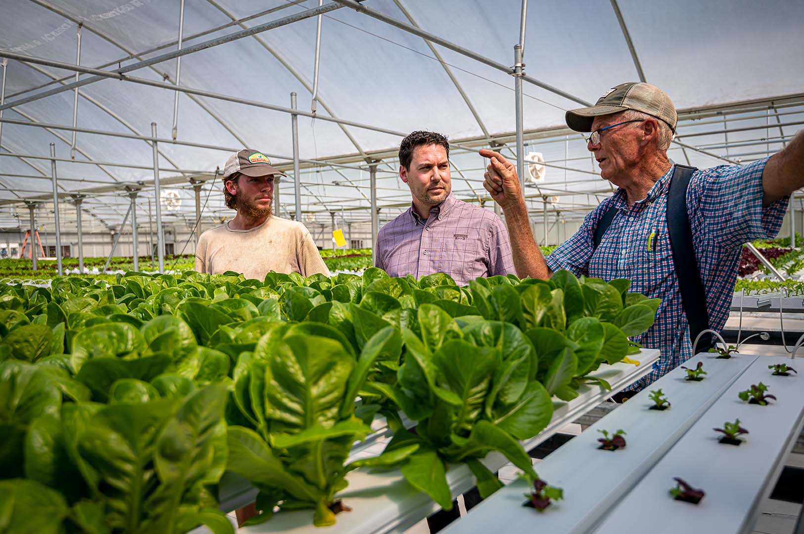 Ethan Norvell (left) and Jamie Redmond (right), manager and owner of Salad Days LLC, respectively, discuss lettuce production with Dr. Casey Barickman. (Photo by David Ammon)