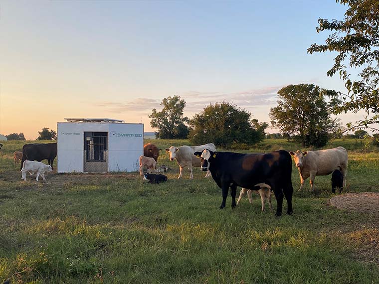 Herd health enters the precision livestock arena - Winter 2023