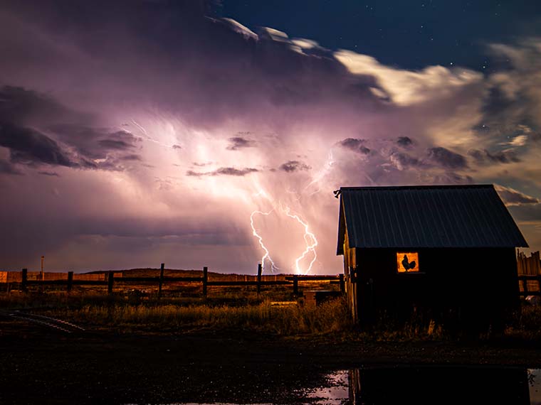 MAFES scientists work to keep poultry houses safe during severe weather events - Winter 2023