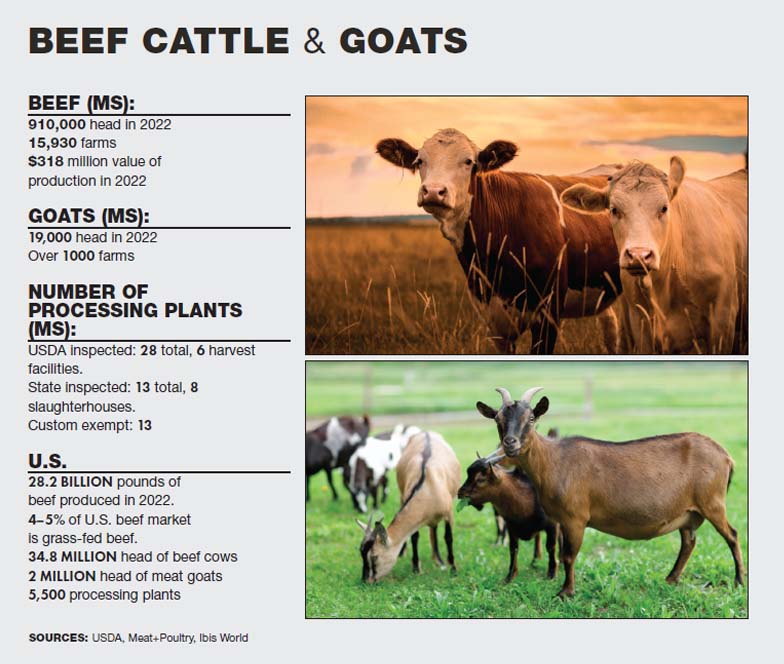 Farm to Fork Infographic