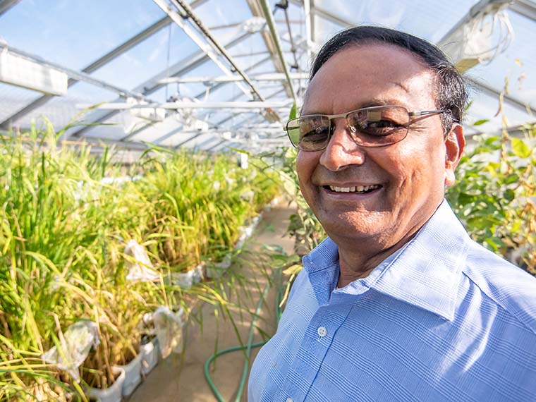 MAFES teams leading the charge in climate-smart row crop solutions  - Winter 2024