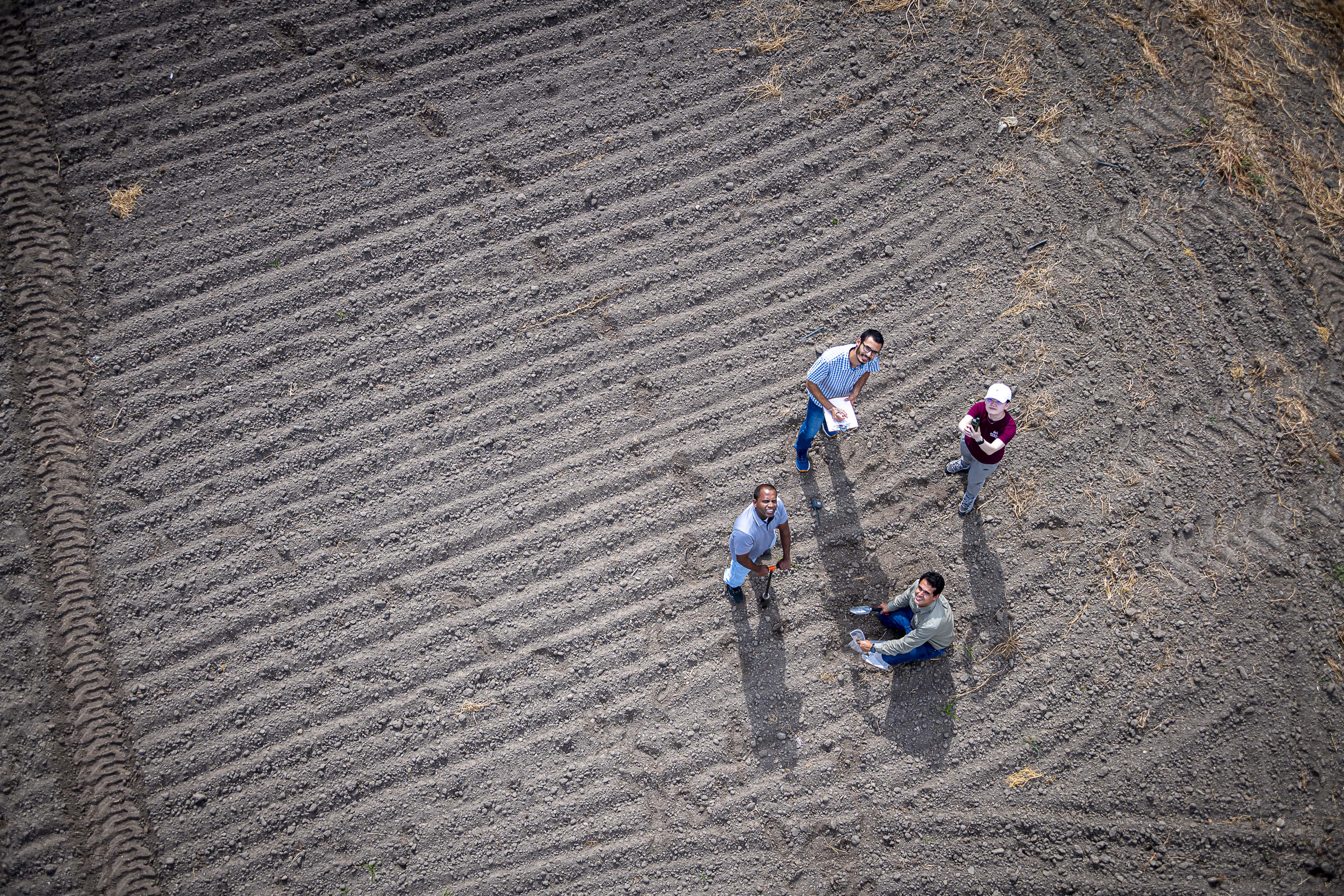 Left to right: Drs. Nuwan Wijewardane, Lucas Ferreira, Xin Zhang, and Vitor Martins look up while soil sampling. (Photo by David Ammon)