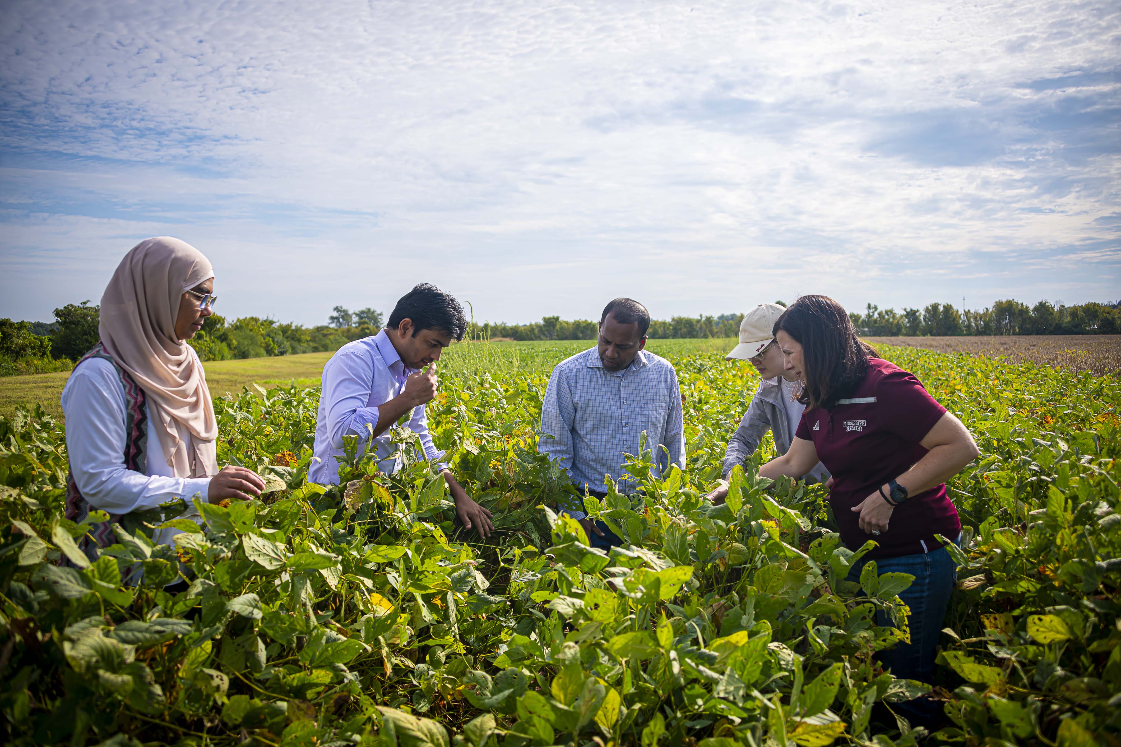 Dr. Jamandeep Dhillon and Raman Sharma in a corn field at the MAFES W. B. Andrews Agricultural Systems Research Farm. (Photo by Dominique Belcher)