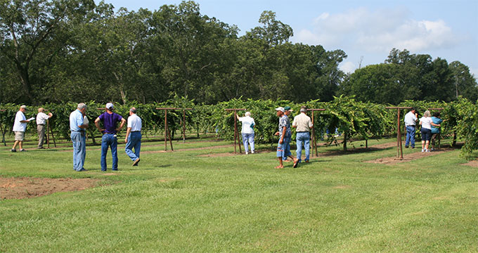 Beaumont Horticulture Unit