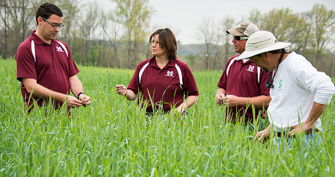 researchers in the field