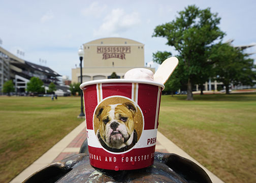 MAFES Sales Store at MSU offers free ice cream Friday