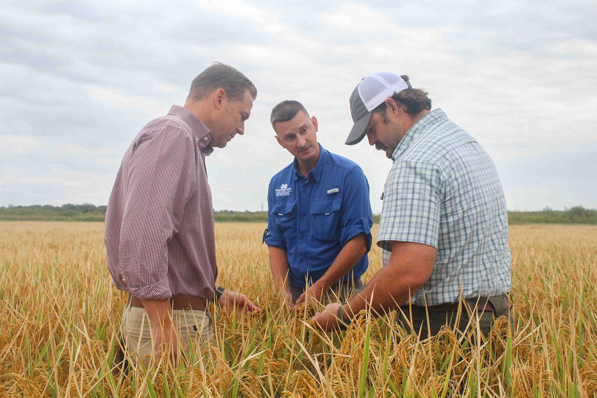 Life After the Flood<br /><em>Innovations in Irrigation Technology for Sustainable Rice Farming</em>
