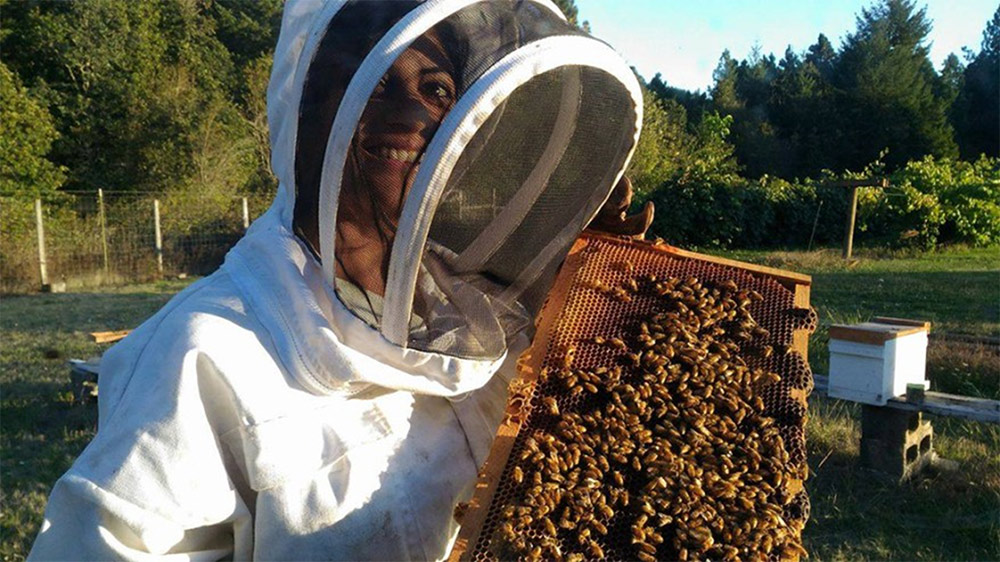 Priyadarshini Basu investigates a hive.