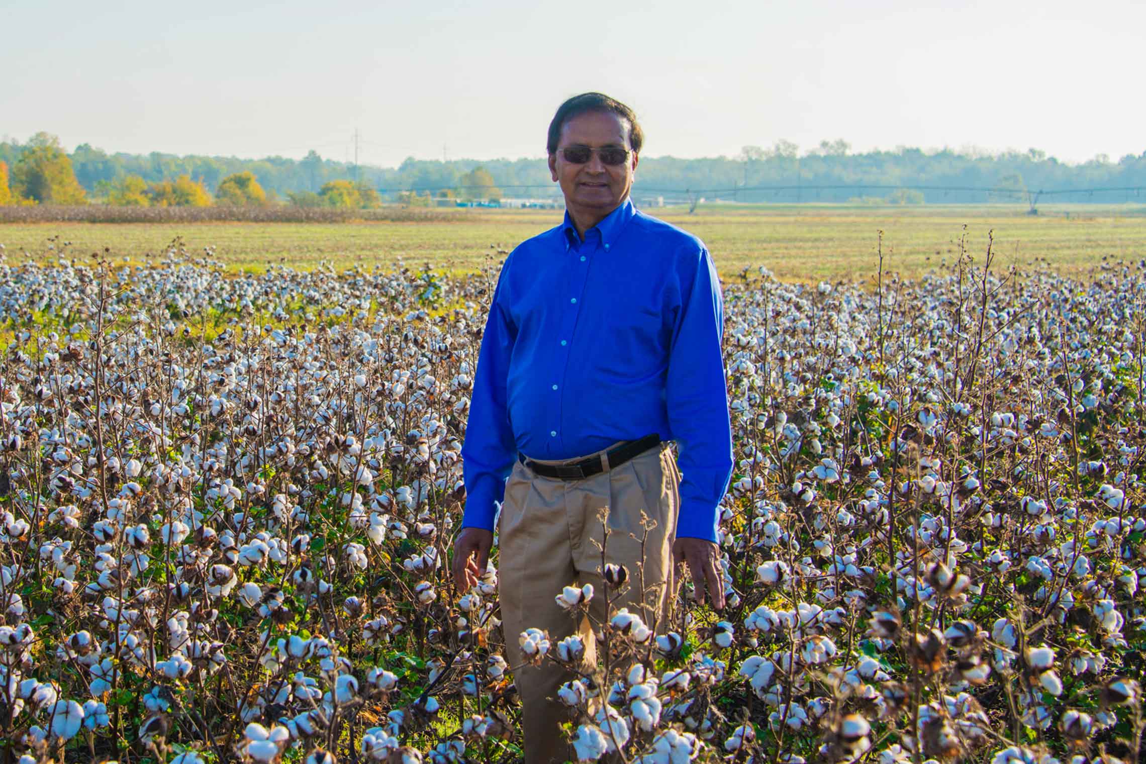 Dr. Raja Reddy in cotton