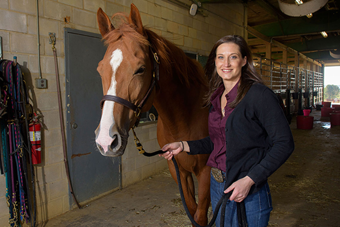 Ashley Glenn, Mississippi State University Equine Unit facilities supervisor, walks Allie, one of the horses in MSU’s
equine breeding program.