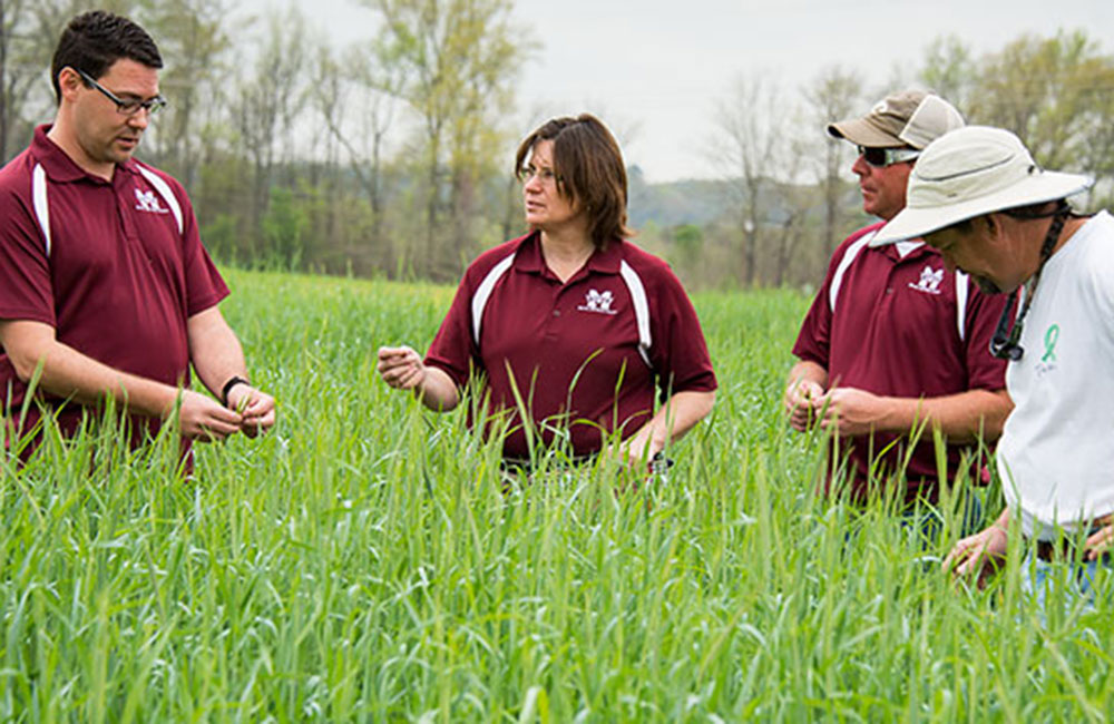 North Mississippi Research and Extension Center