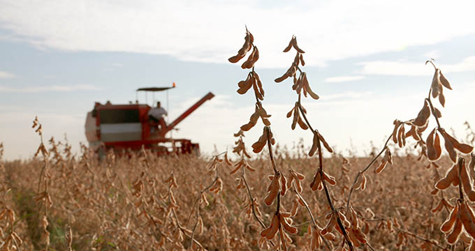 Agricultural and Biological Engineering