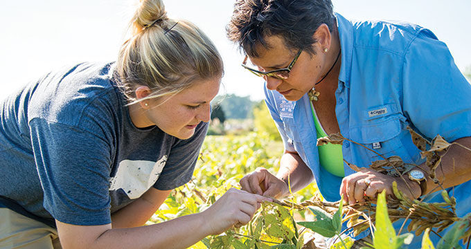 Agricultural and Biological Engineering